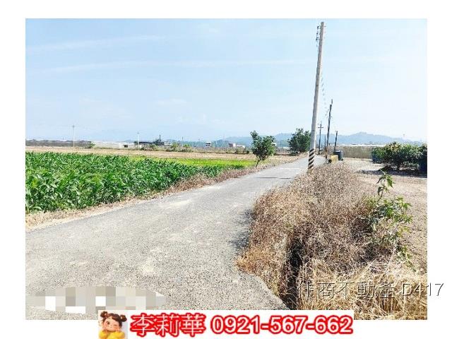 台南東山農地-3