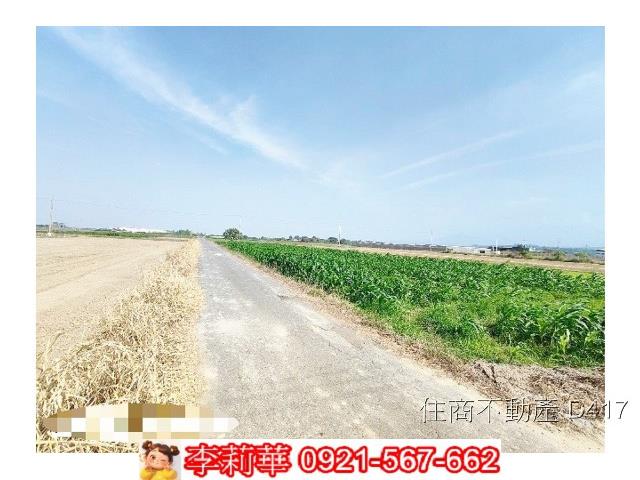 台南東山農地-4