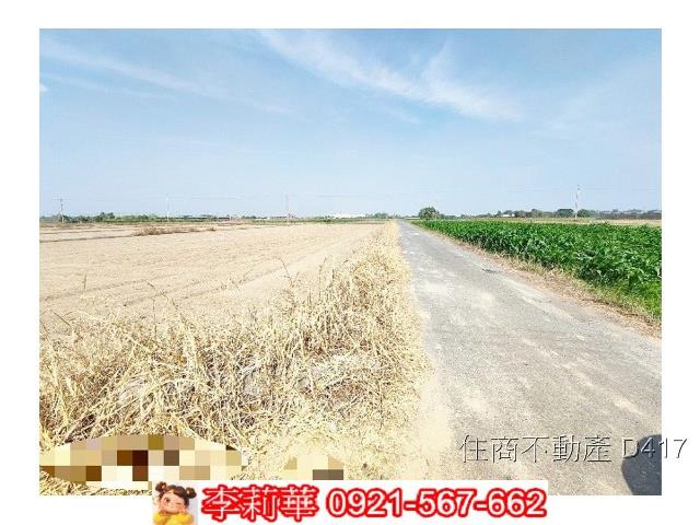 台南東山農地-5