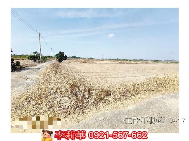 台南東山農地-6