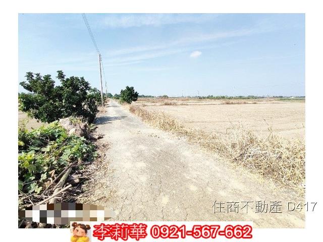 台南東山農地-7