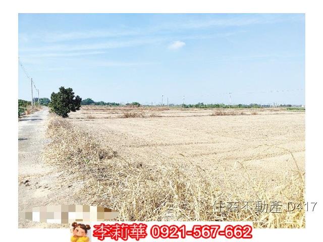 台南東山農地-8