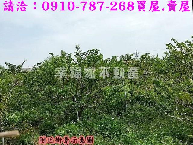 台南歸仁農地-9