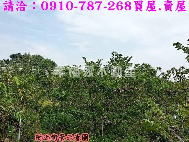 台南歸仁農地-11