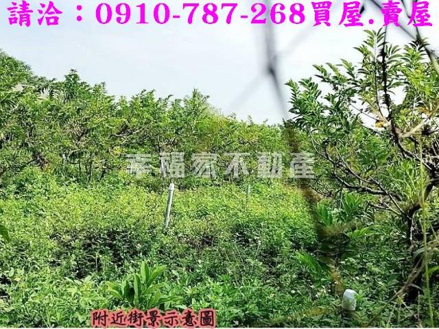 台南歸仁農地-3