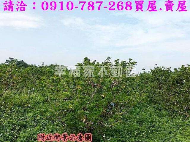 台南歸仁農地-4