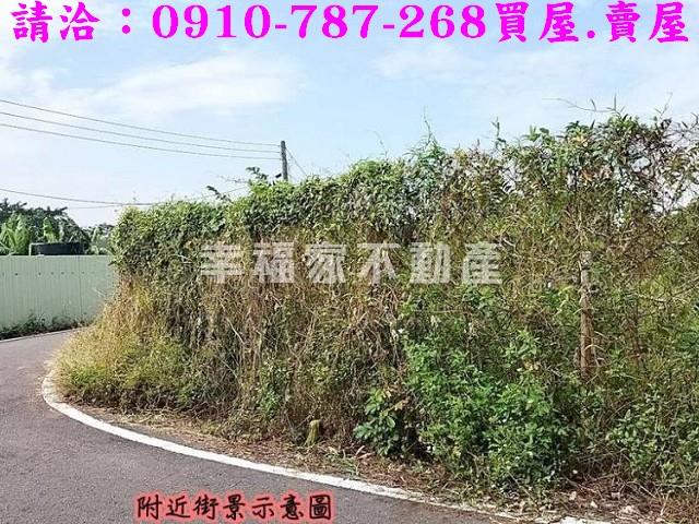 台南歸仁農地-6