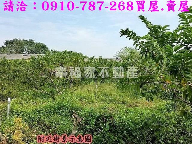 台南歸仁農地-7