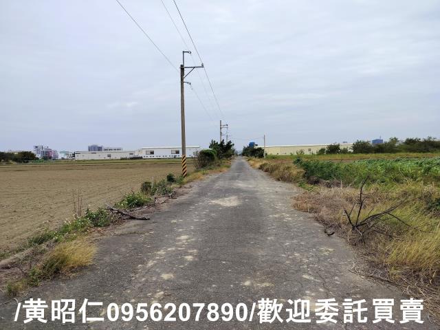 安定農地-5