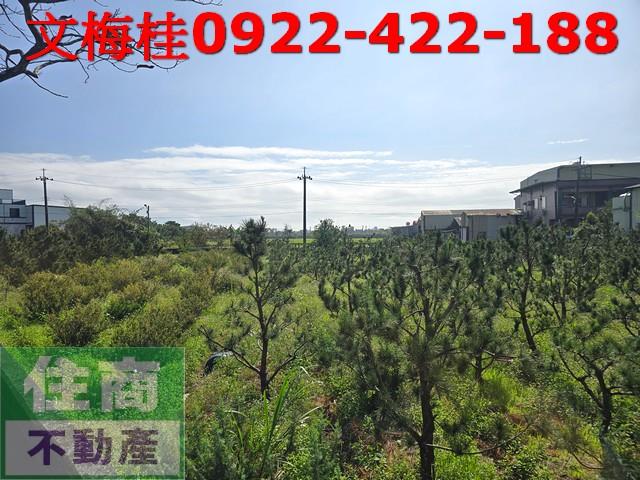 宜蘭縣冬山鄉小南澳段農地出售