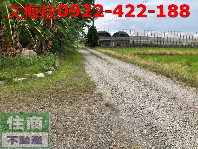 宜蘭宜蘭市農地-1