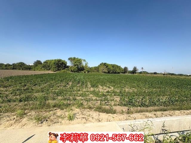 台南農地-2
