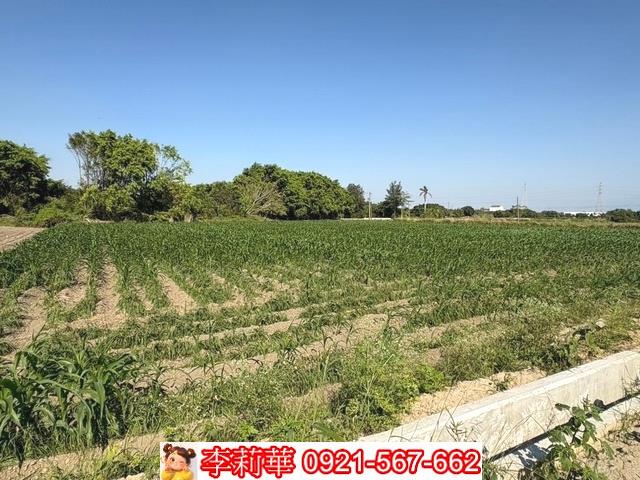 台南農地-3