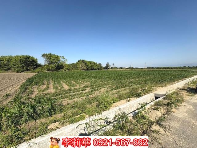 台南農地-4