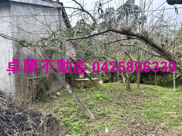 卓蘭河堤小美田