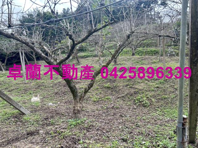 卓蘭農地-8