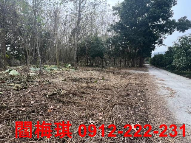 台南玉井農地-0