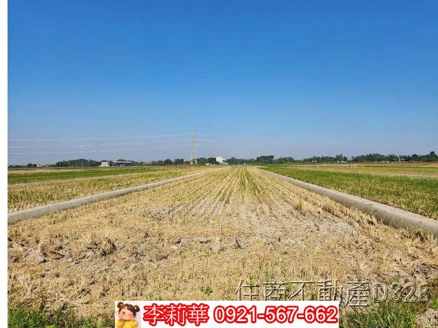 台南東山農地-5