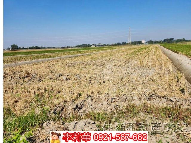 台南東山農地-8