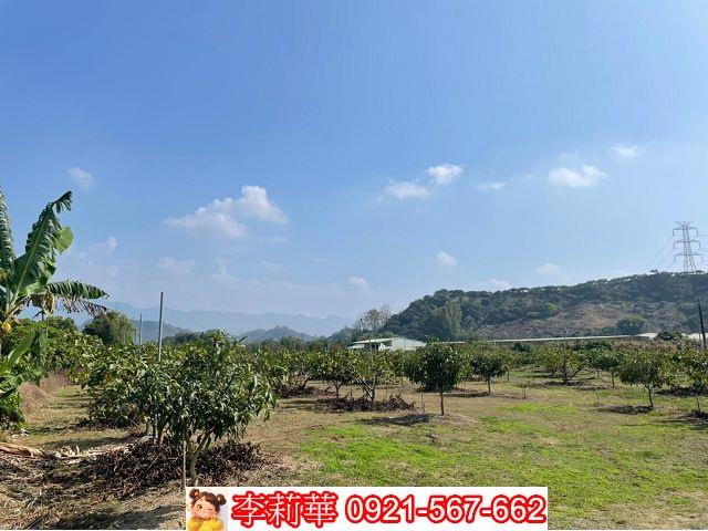 台南楠西農地-1