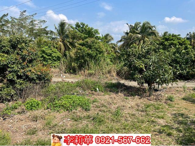 台南楠西農地-2