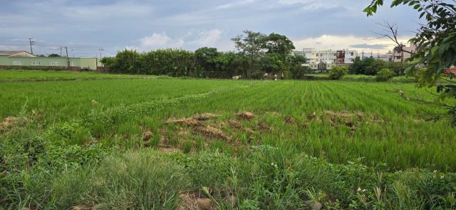 桃園農地-5