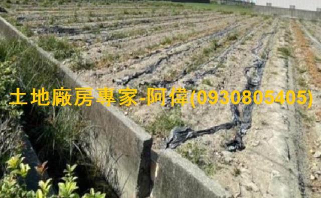 大寮農地-0