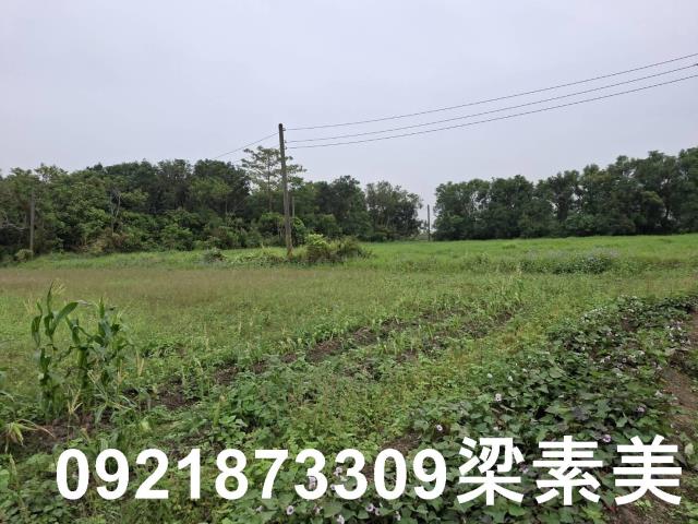 台南農地-1