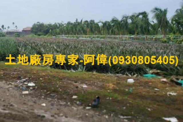 高雄仁武農地-0