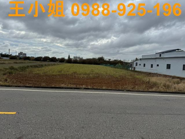 桃園新屋農地-9