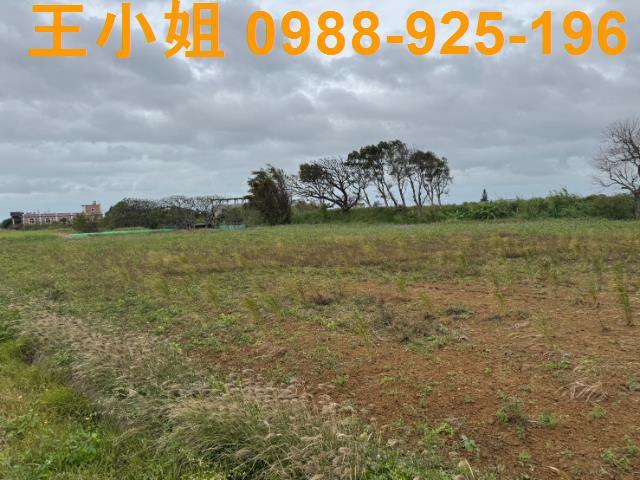 桃園新屋農地-12