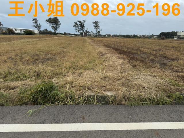 桃園新屋農地-6