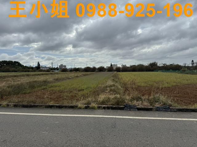 桃園新屋農地-7