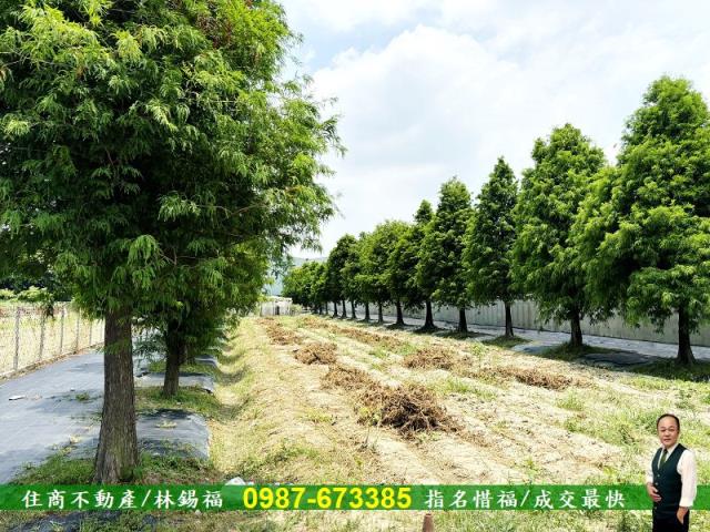 台南歸仁農地-4