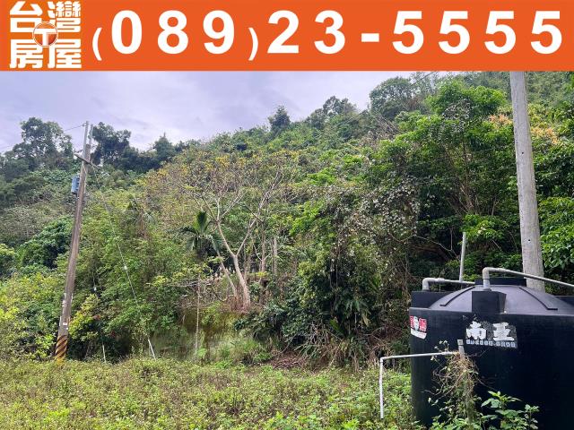 台東台東市農地-4