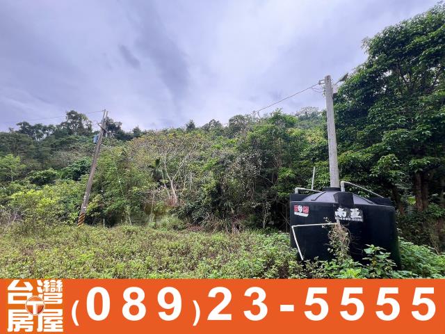 台東台東市農地-5