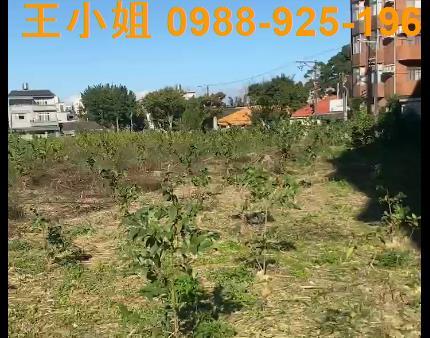 桃園大溪農地-3