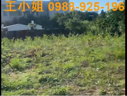 桃園大溪農地-5