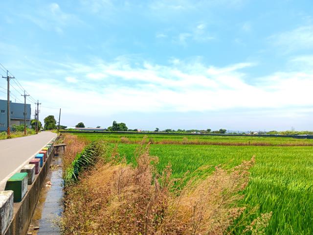 桃園新屋農地-2