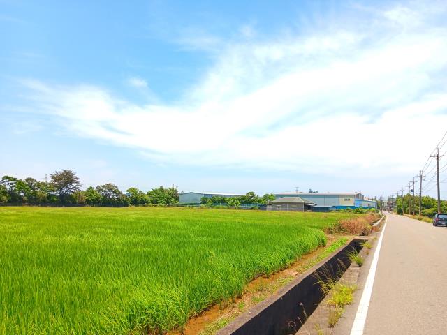 桃園新屋農地-5