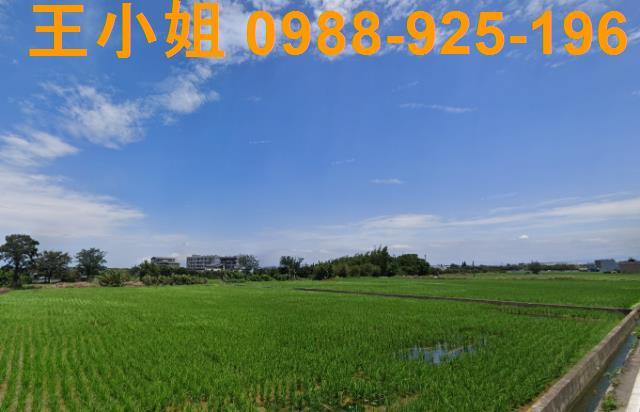 桃園大園農地-1