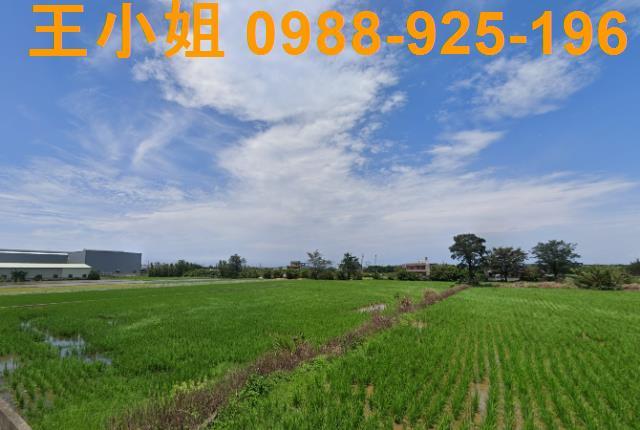 桃園大園農地-2