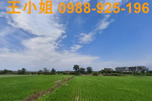 桃園大園農地-3