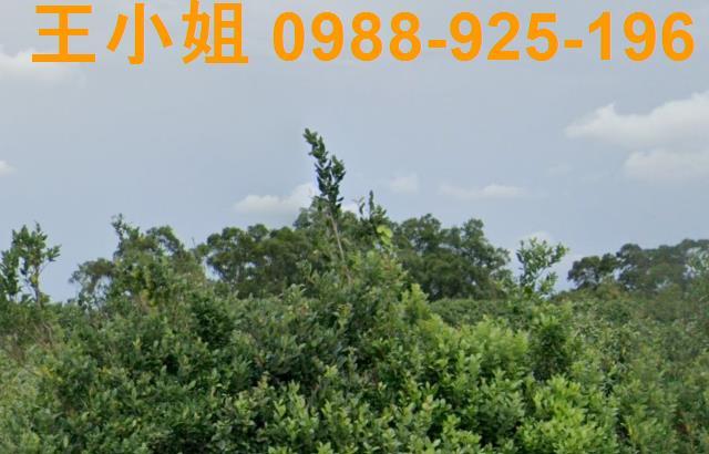 桃園龍潭農地-5