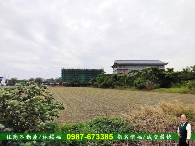 安定農地-3