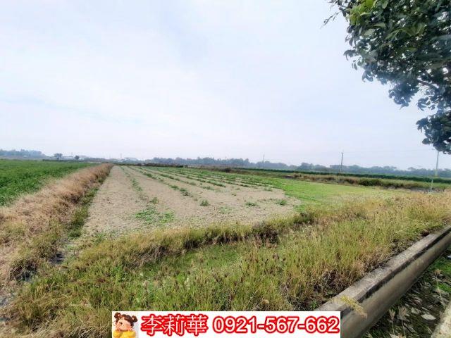 台南農地-10