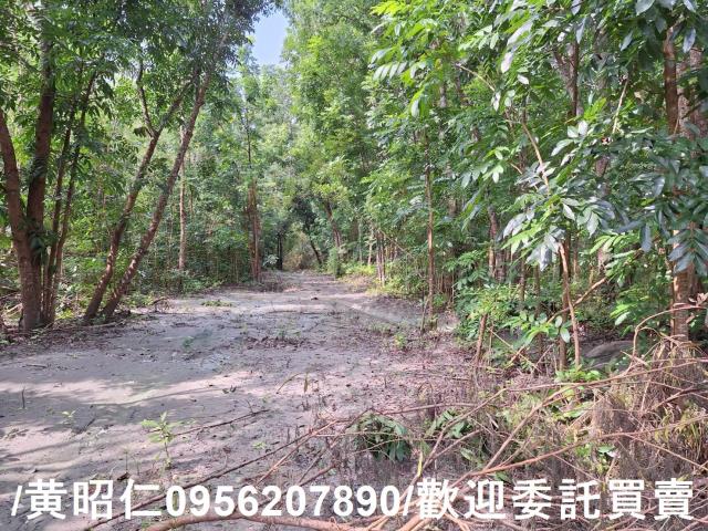 台南龍崎農地-4