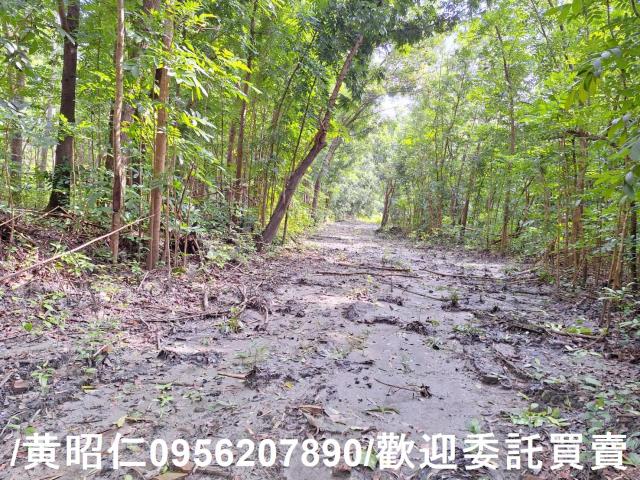 台南龍崎農地-6