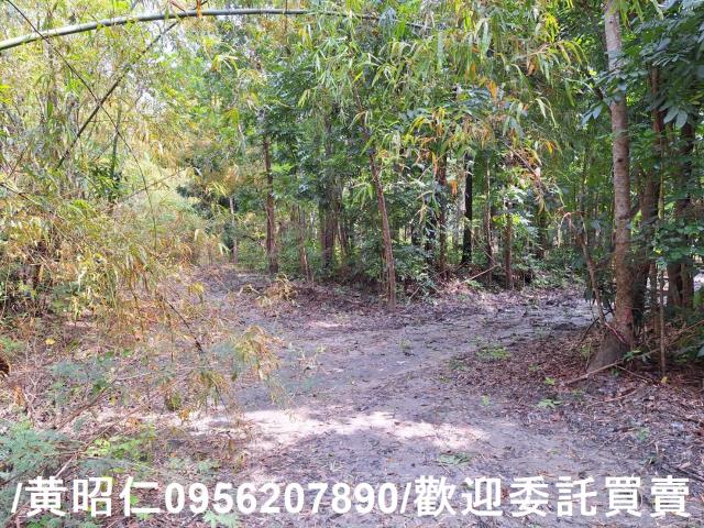 台南龍崎農地-7