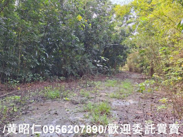 台南龍崎農地-8